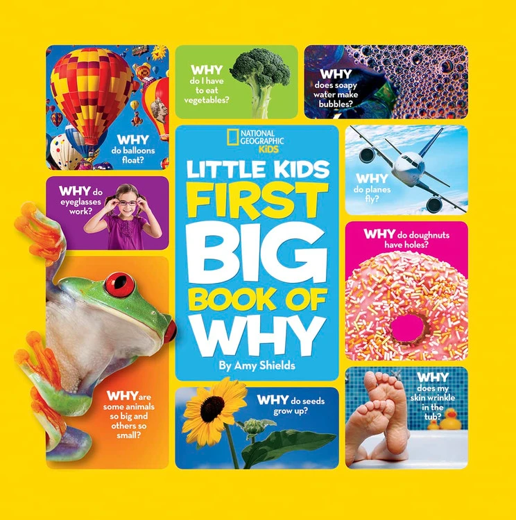 Little first big book of Why