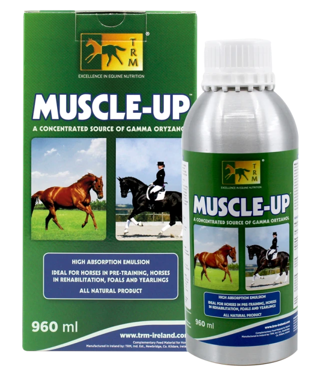 Muscle_up