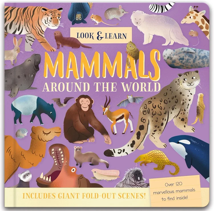 Nature Look And Find Board Book - Mammals