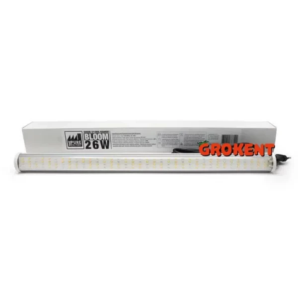 P-Led 26W 2100K Bloom