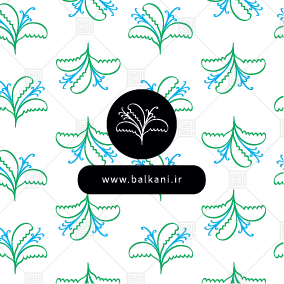 Pattern-Vector-Balkani-PVB1-05