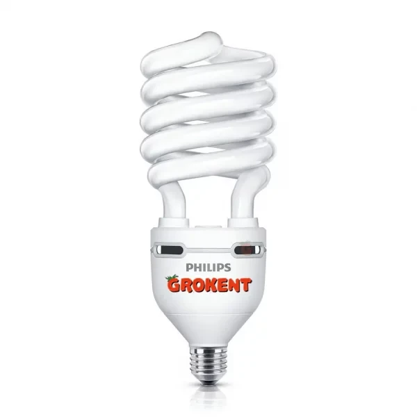 Philips Tornado 75w CFL Bloom