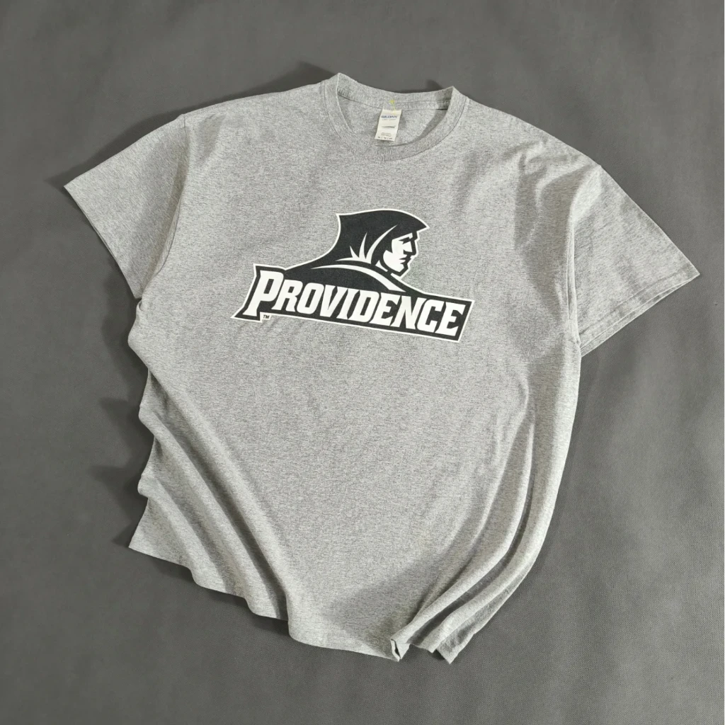 SIZE L-XL  تیشرت اورجینال برند معتبر Gildan امریکا   مدل Providence