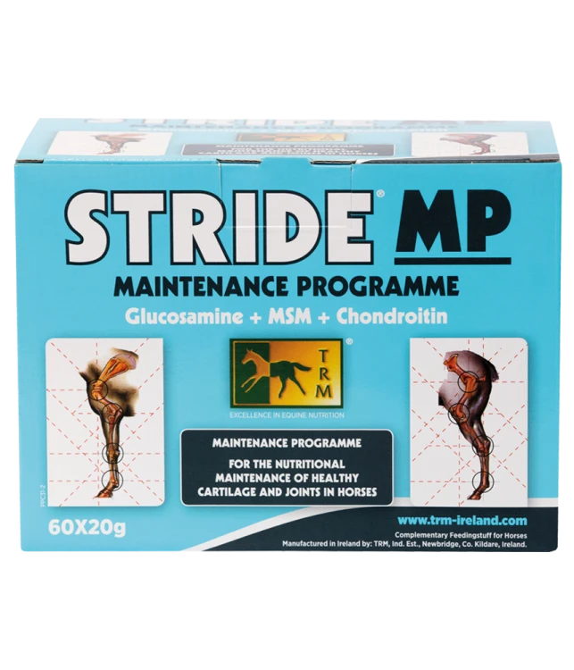 STRIDE MP