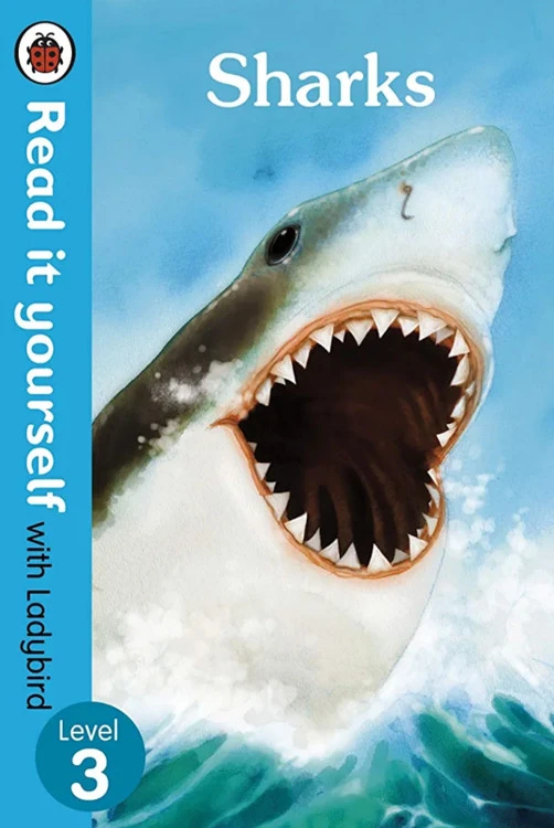 Sharks: Read It Yourself with Ladybird Level 3