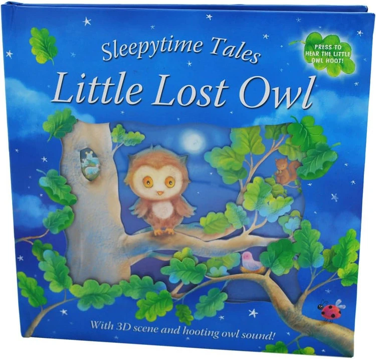 Sleepytime tales Little lost Owl 🦉