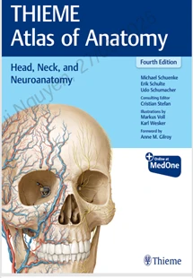 THIEME Atlas of Anatomy : Head, Neck, and Neuroanatomy 4th Edition 2025