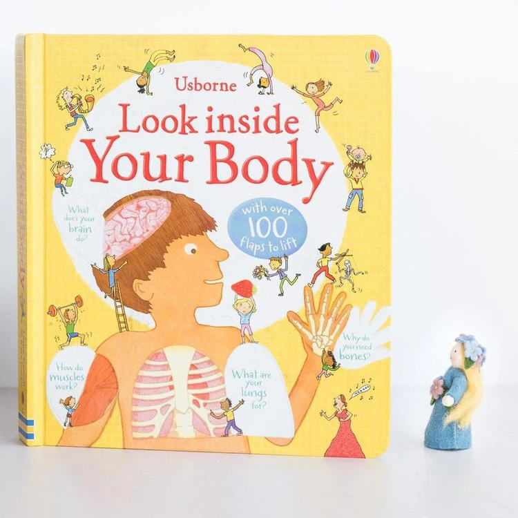 Usborne Look inside your body