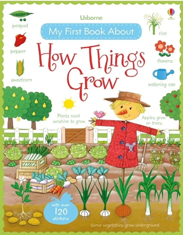 usbone my first book about things grow 🌳