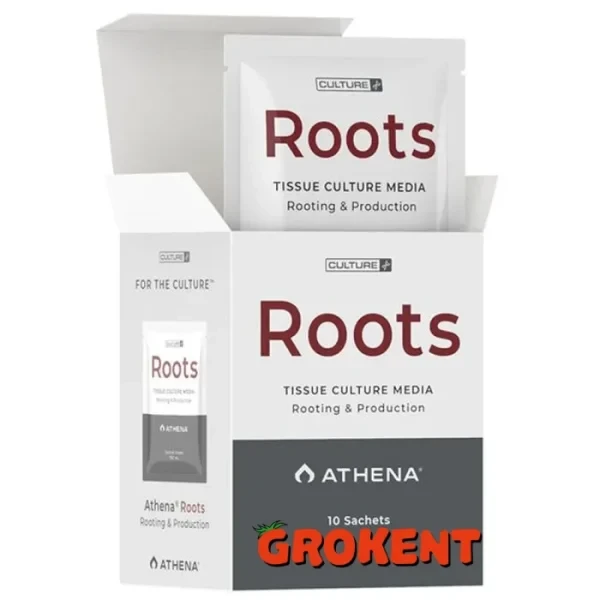 آتنا روتس Athena Roots