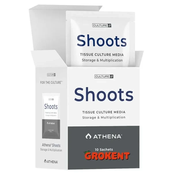 آتنا شوتس Athena Shoots