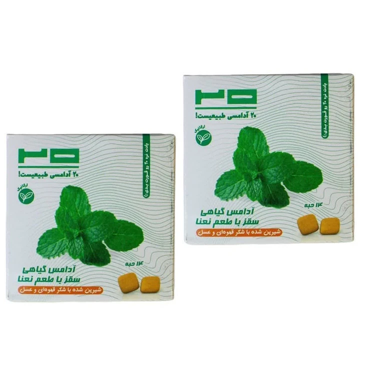 آدامس گیاهی سقز با طعم نعنا بیست - 25 گرم
