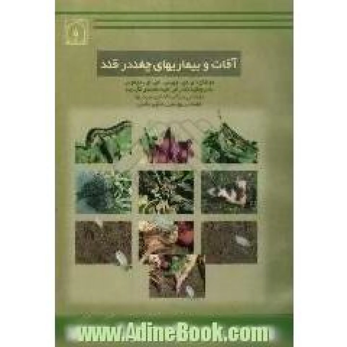 آفات بیماری ها و علف های هرز چغندر قند و مدیریت تلفیقی آنها / ولی الله غدیری / محمد ناصر ارجمندی
