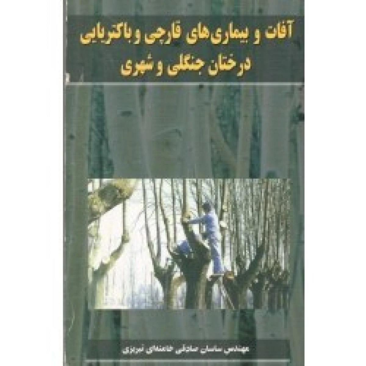 آفات و بیماری های قارچی و باکتریایی درختان جنگلی و شهری / ساسان صادقی خامنه ای تبریزی