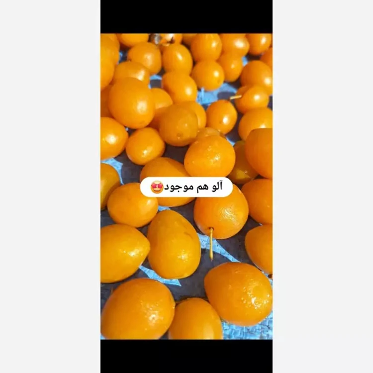 آلوزردتیزابی خورشتی لواشک بخارا هزینه ارسال پست پس کرایه