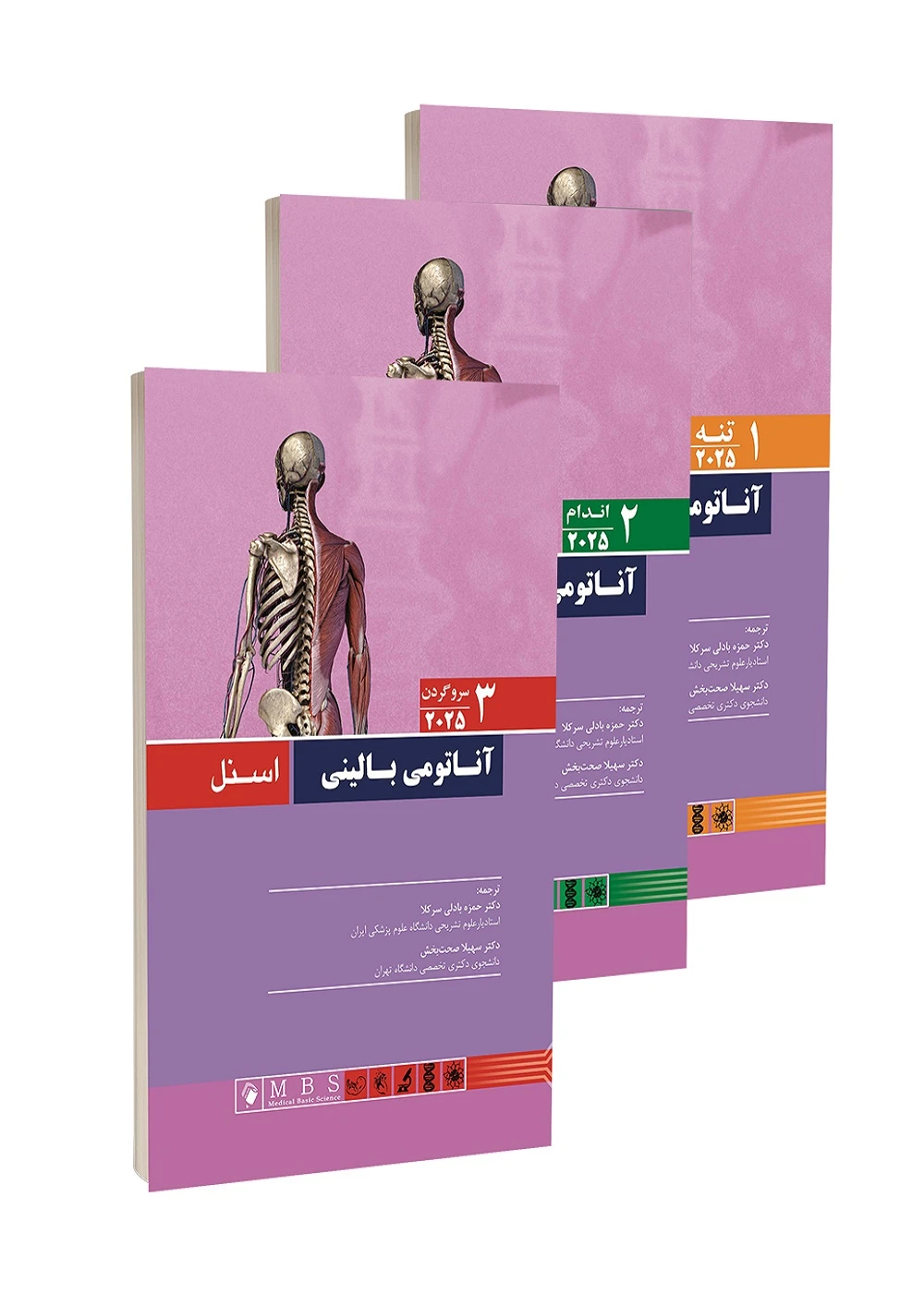 آناتومی بالینی اسنل 2025 سه جلدی اندیشه رفیع با همکاری آرتین طب 