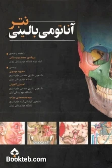 آناتومی بالینی نتر