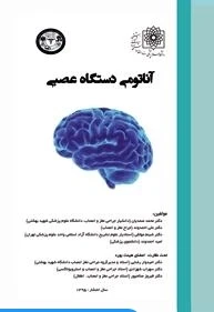 آناتومی دستگاه عصبی