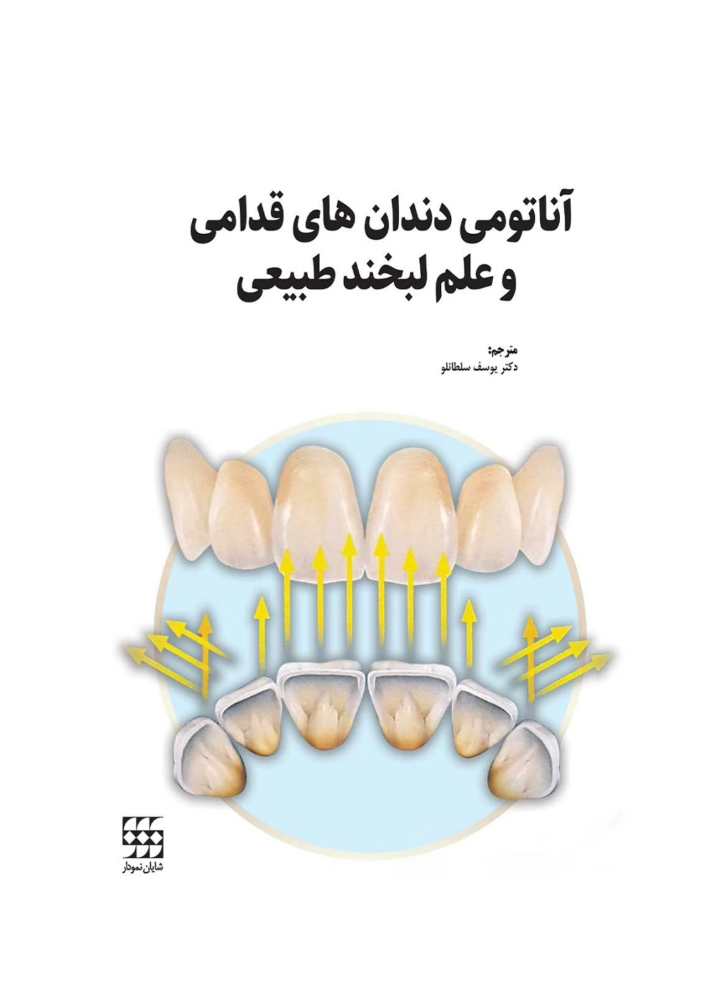 آناتومی دندان های قدامی و علم لبخند طبیعی