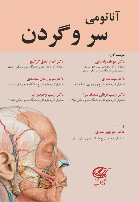آناتومی سر و گردن آنا طب