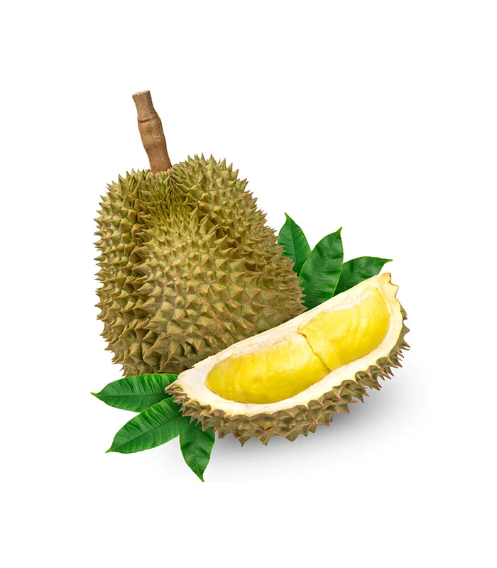 آواکادو پاکستانی
