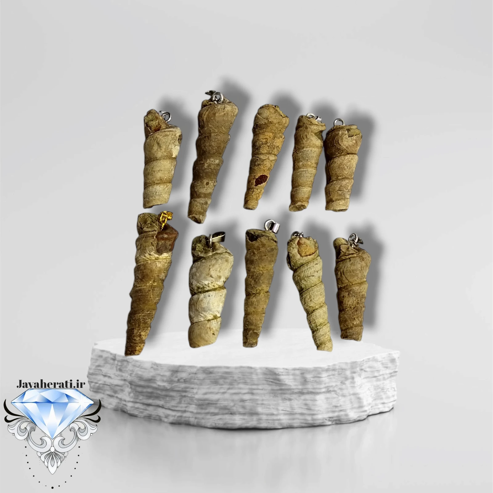 آویز فسیل عرج کوهی (ارسال بصورت رندوم)