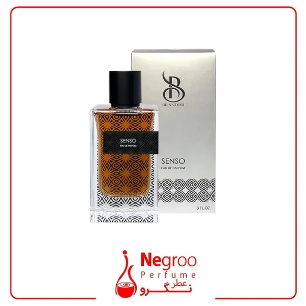 ادوپرفیوم مردانه برندینی Brandini مدل Senso حجم 90 میلی لیتر