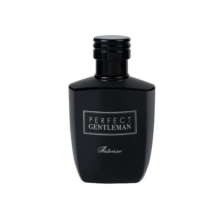 ادکلن پرفکت جنتلمن اینتنس مردانه آرت اند پرفیومPerfect Gentleman Intense حجم 100 میلی لیتر