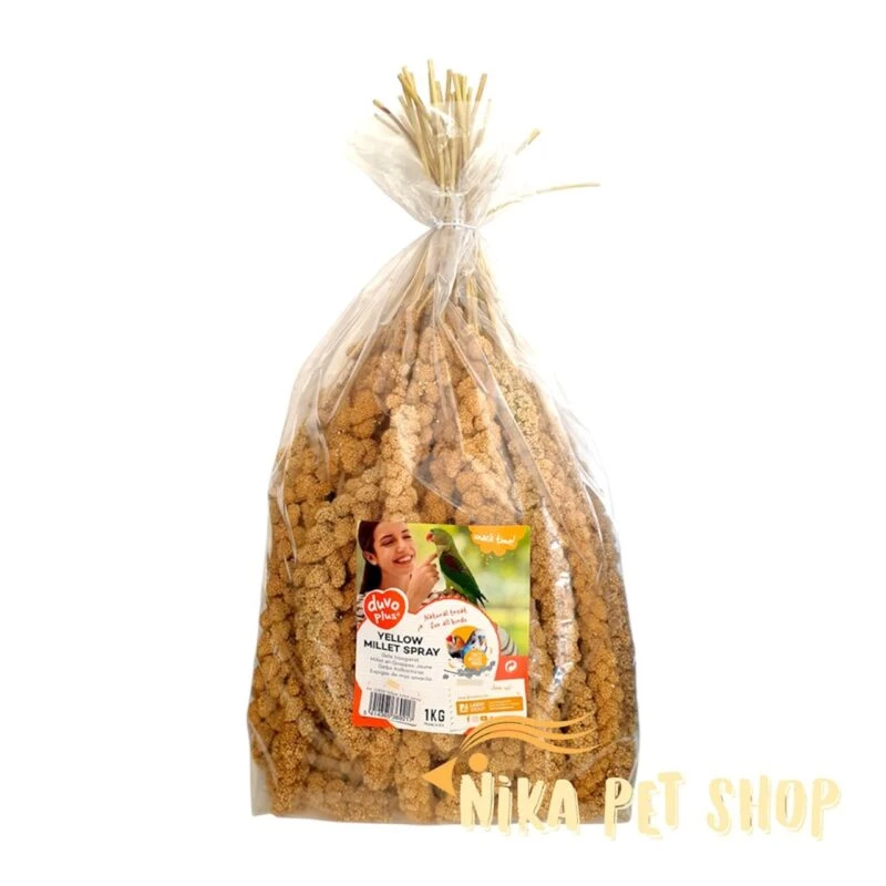 ارزن خوشه‌ای لاروی