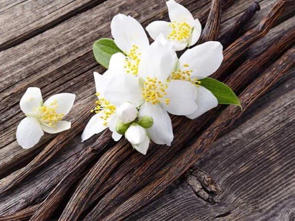اسانس خوشبو کننده اُرینتال سِکرت ( Oriental Secret )