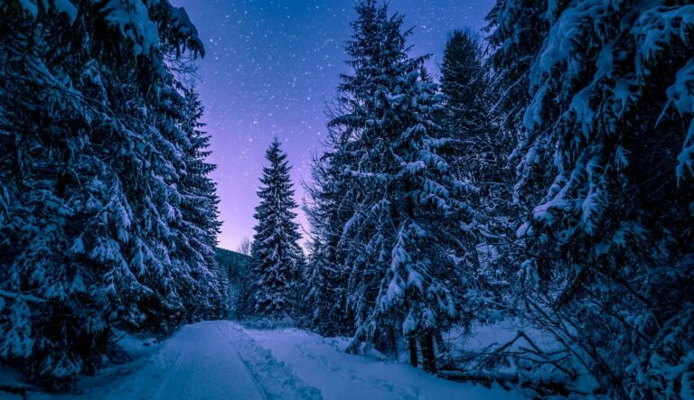 اسانس خوشبو کننده وود نایت ( Wood Night )