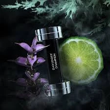 اسانس عطر دیویدوف چمپیون Davidoff Champion خنک و تلخ اورجینال با ضمانت اصالت