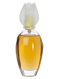 اسانس عطر کلوهه نارسیس Chloe Narcisse گرم و شیرین اورجینال با ضمانت اصالت