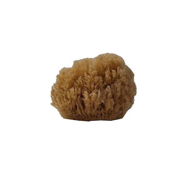 اسفنج طبیعی گرد mako
