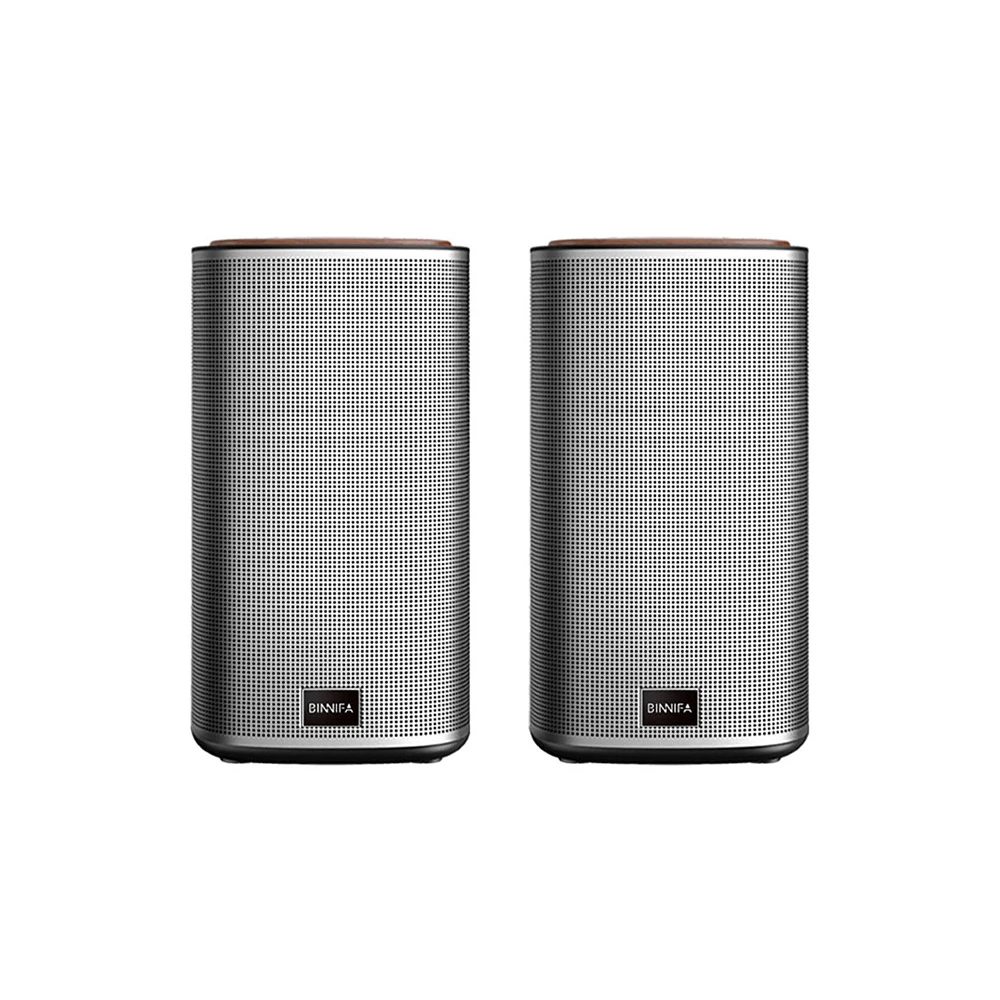 اسپیکر بلوتوث شیائومی BINNIFA Play 2D Bluetooth 5.0 Stereo Speaker