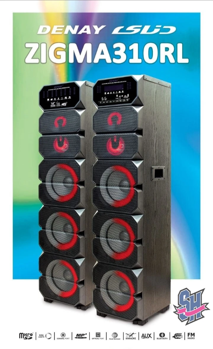 اسپیکر رقص نور دار دنای مدل ZIGMA310RL2زیگما
