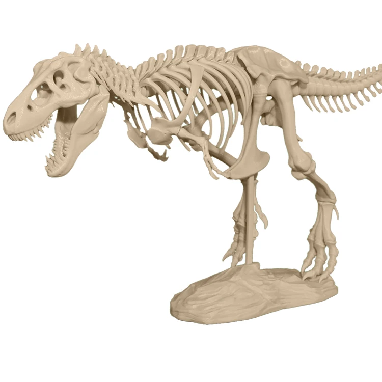 اسکلت دایناسور T-Rex Skeleton