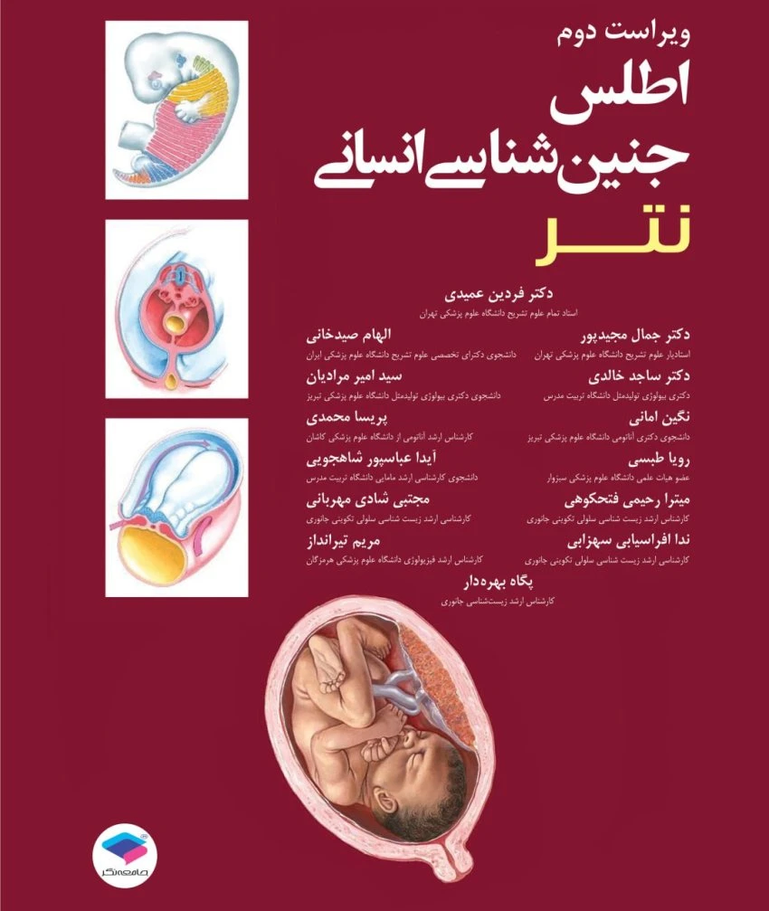 اطلس جنین شناسی انسانی نتر 2024