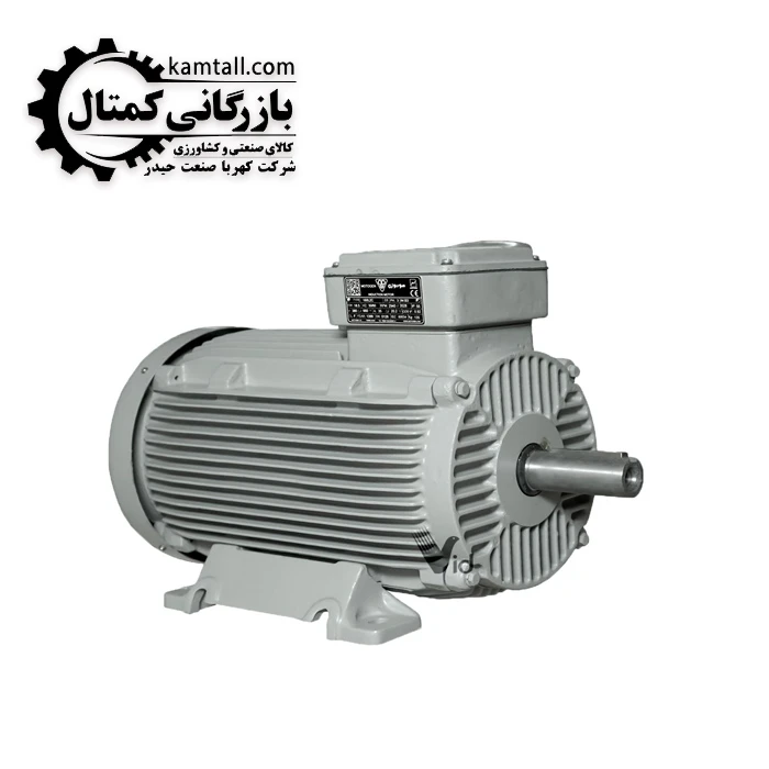 الکتروموتور موتوژن 110 کیلو وات،1000 دور(چدنی)