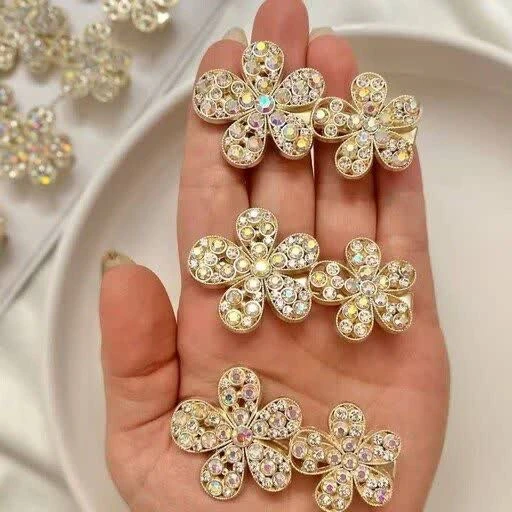 انبری پنس مو مجلسی 2