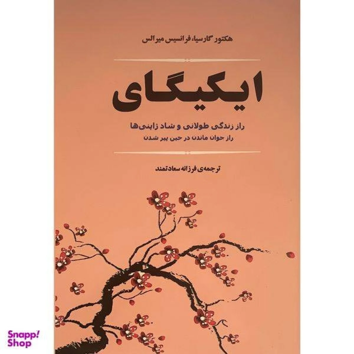 ایکیگای جیبی/هکتورگارسیا/فرانسیس میرالس/فرزانه سعادتمند/نشرجامی