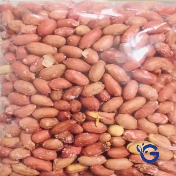 بادام زمینی برشته درشت درجه یک دشت مغان
