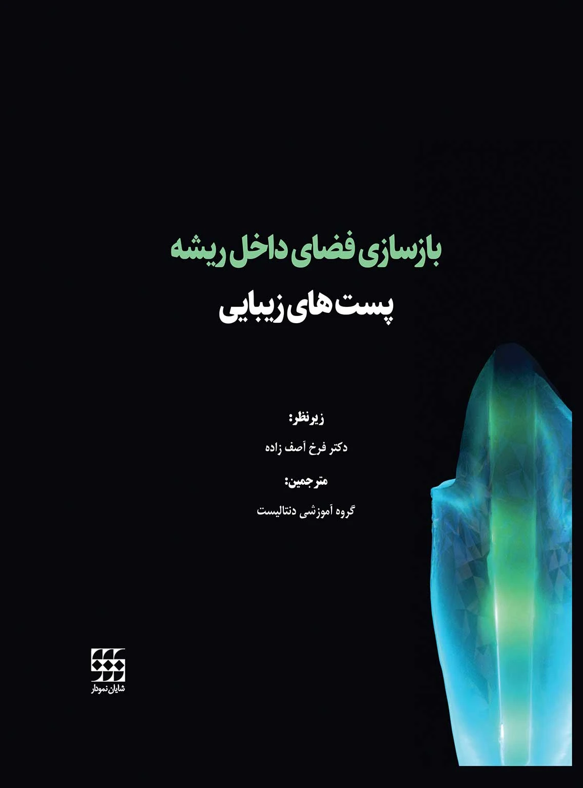 بازسازی فضای داخل ریشه پست های زیبایی