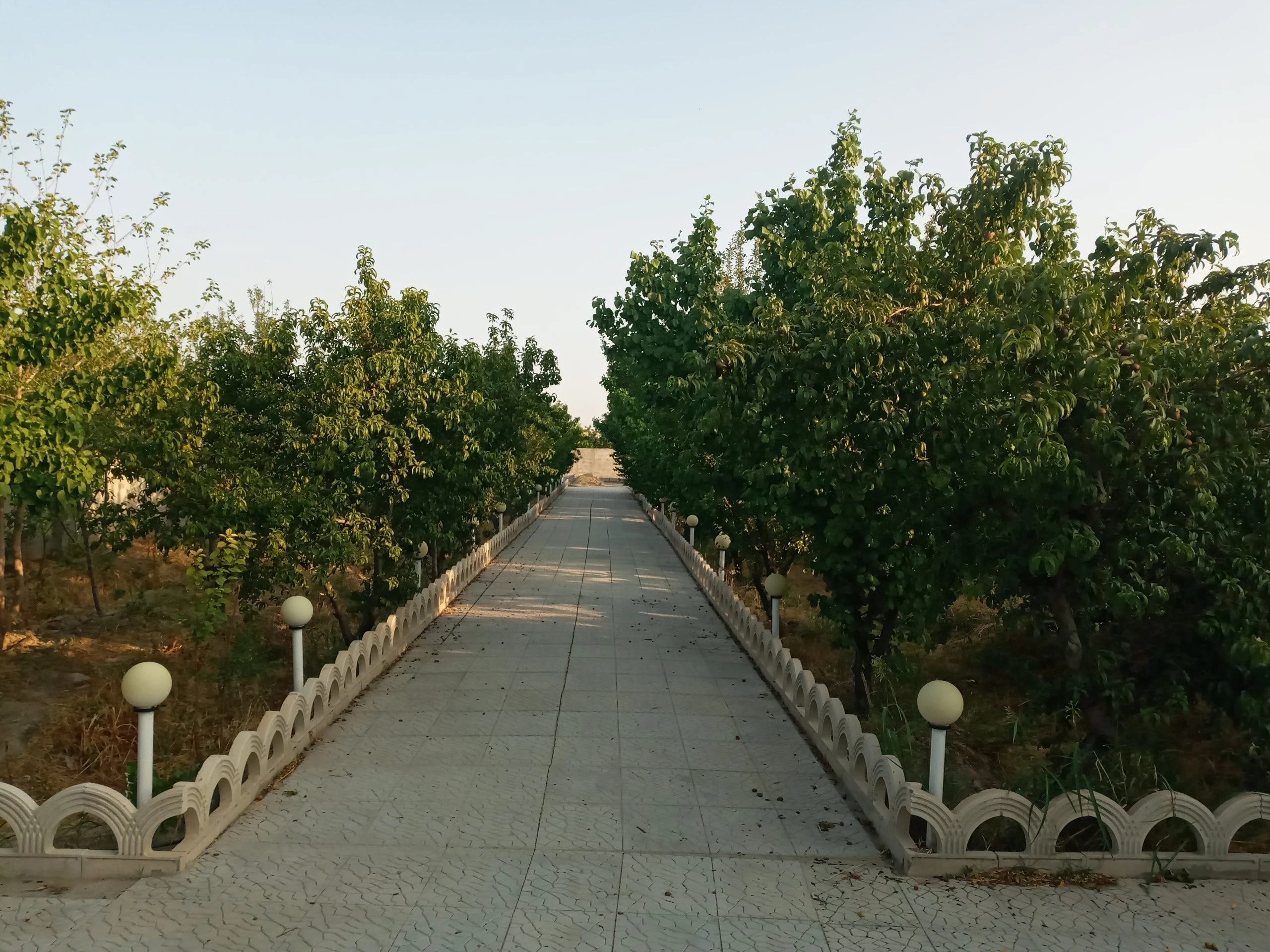 باغ ۱۲۵۰ متری سنددار