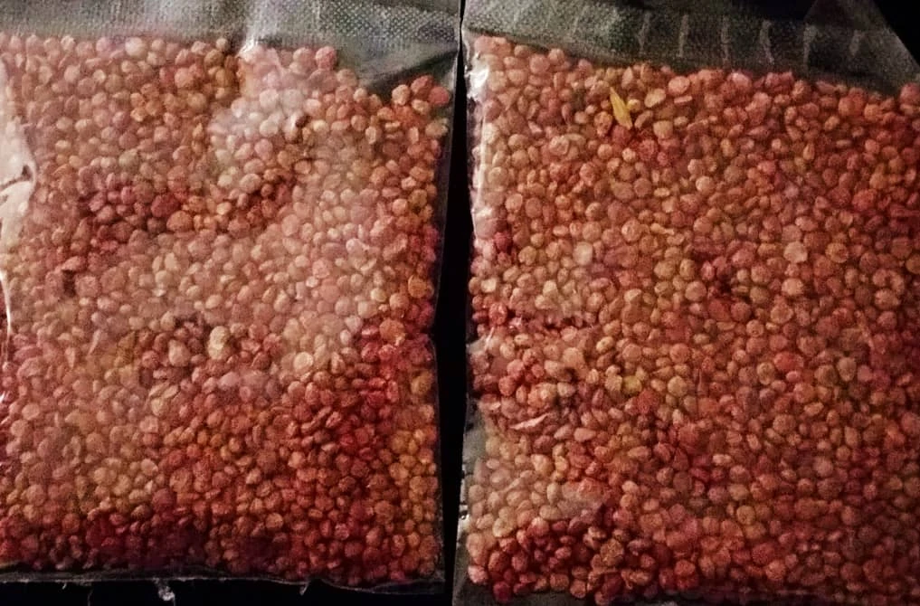 بذر اسفناج خارجی مهشاد