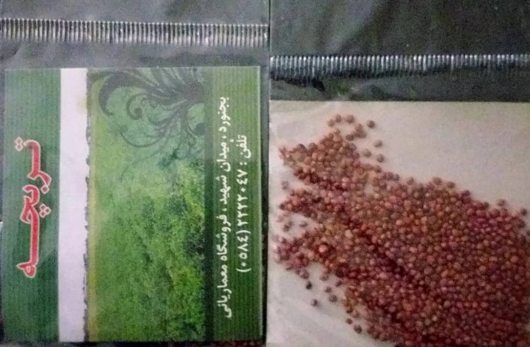 بذر تربچه مهشاد
