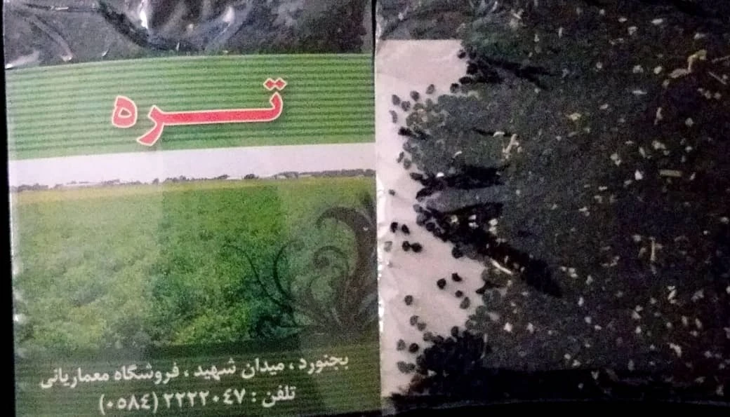 بذر تره مهشاد