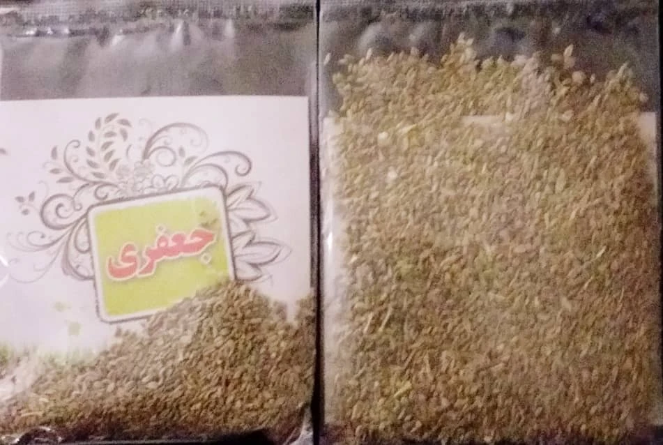 بذر جعفری مهشاد