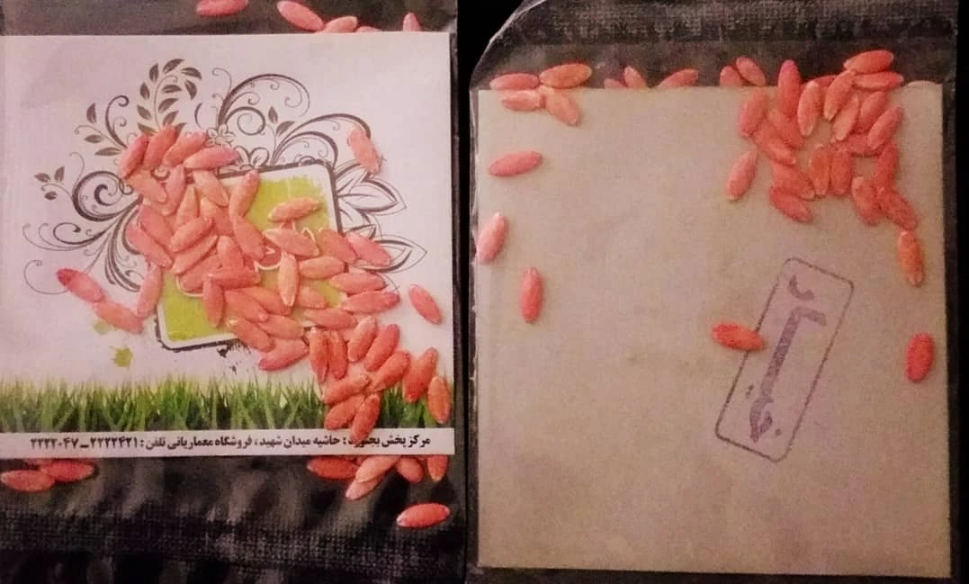 بذر خیارمهشاد