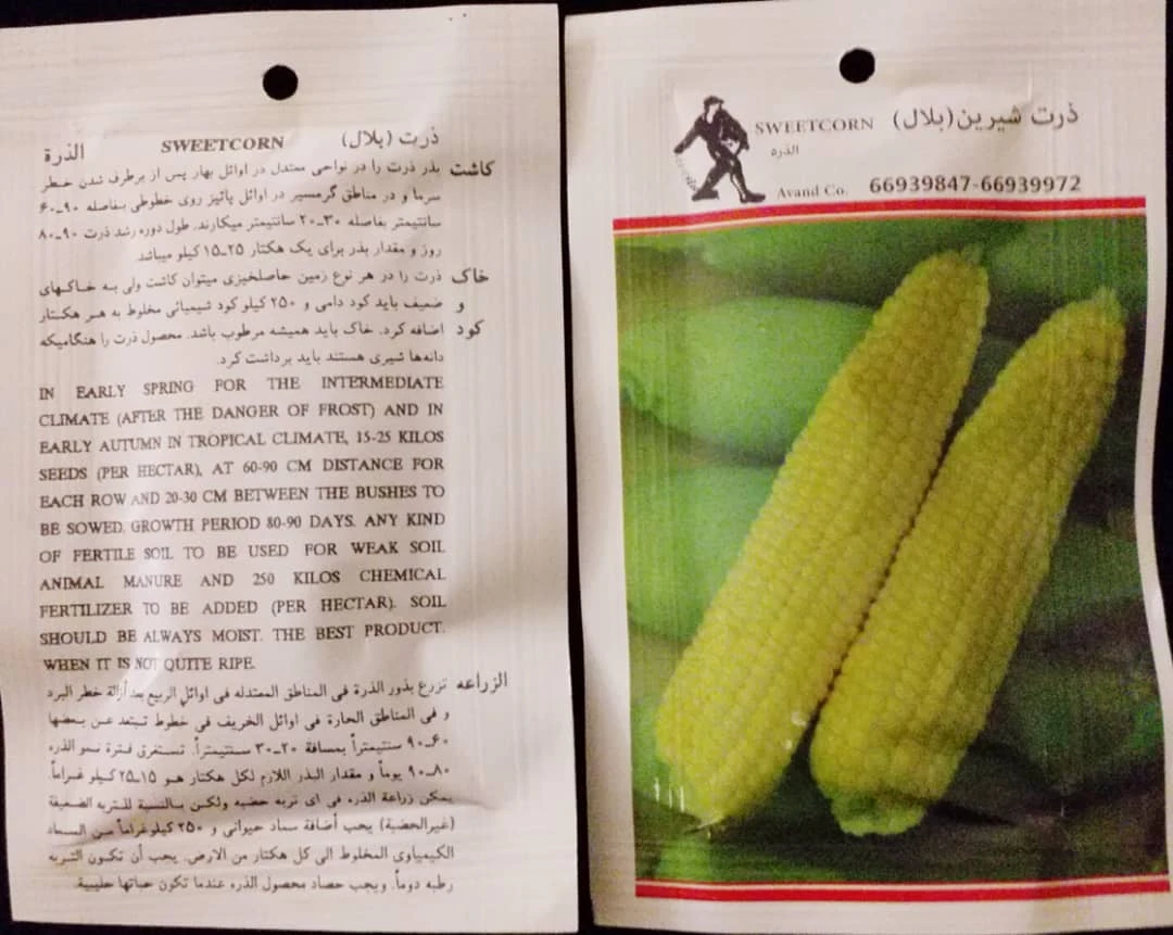 بذر ذرت مهشاد